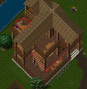 First.png